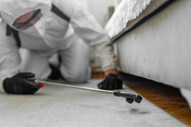 Professional Bed Bug Control technician working in Clinton, OK