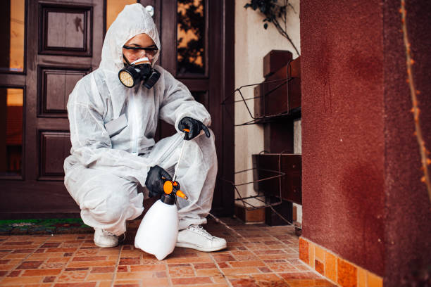 Reliable Bed Bug Control contractor in Clinton, OK by Nex Pest Control